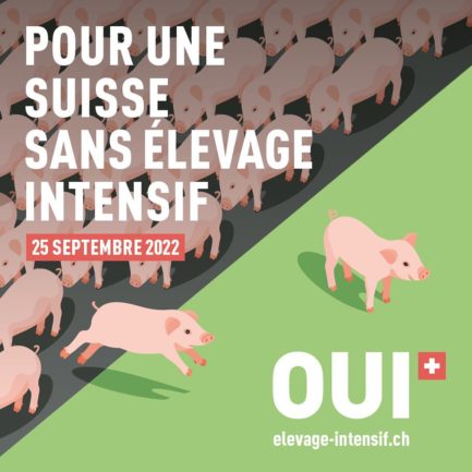 Pour une Suisse sans élevage intensif. 25 septembre 2022. OUI elevage-intensif.ch